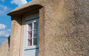 Bank thatch roof disadvantages